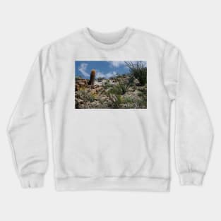 WGC_2464b Crewneck Sweatshirt